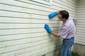 Best Vinyl Siding Installation  in Gonzales, LA